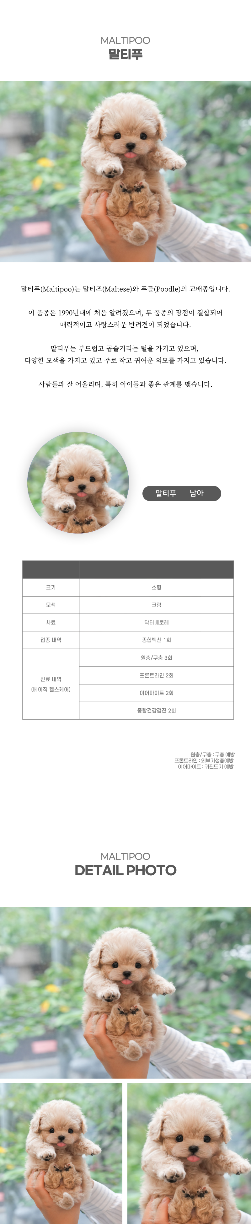 말티푸_상세이미지_2